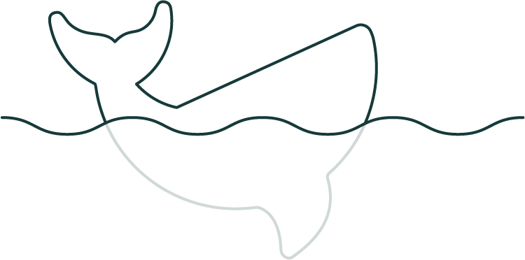 Whale