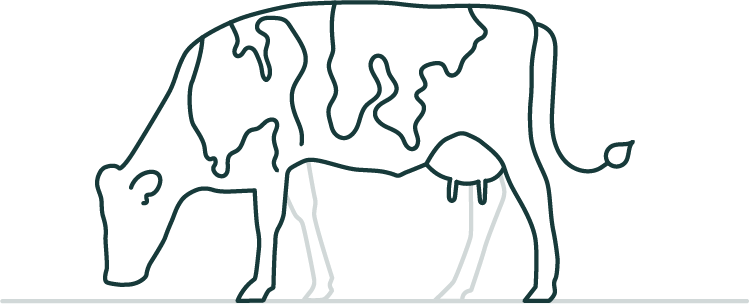 Farm